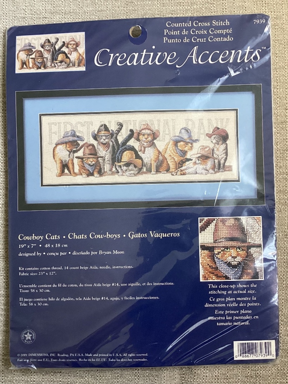 Creative Accents Dimensions Cowboy Cats Counted Cross Stitch Kit #7939 USA New